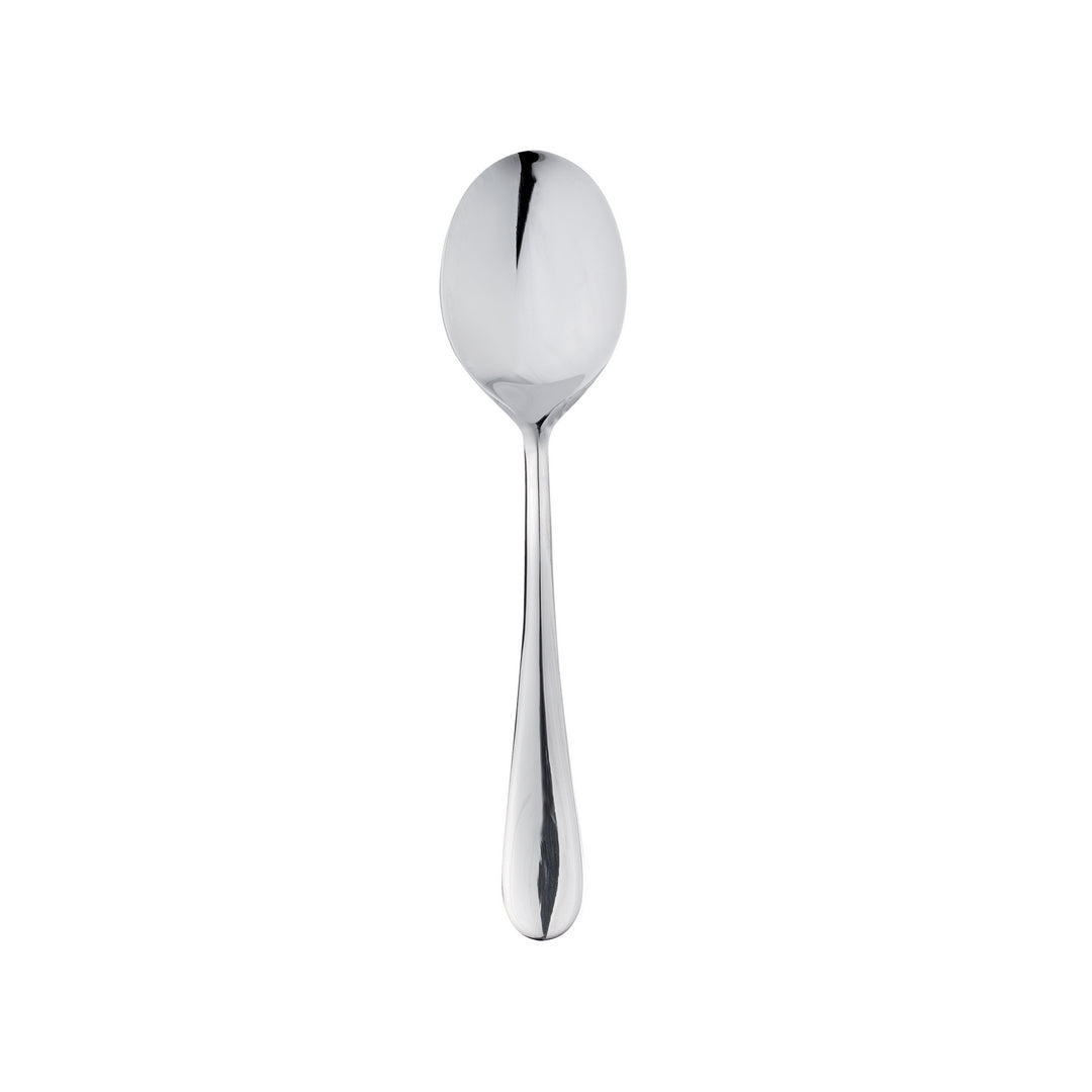 Gourmet Spoon