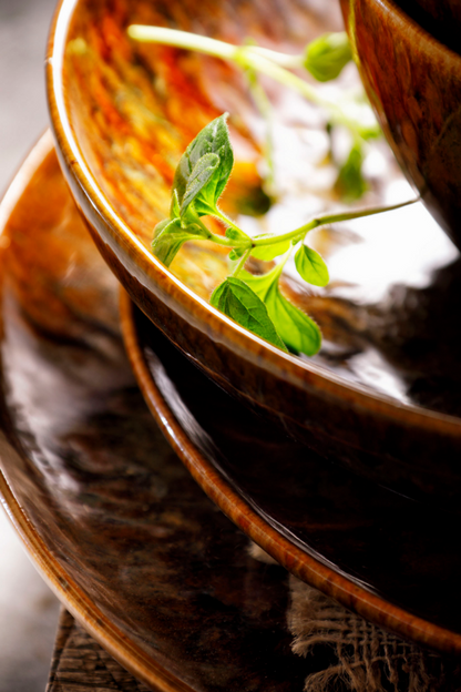 Palmer Schaal Forest Rustique 15 cm 70 cl Stoneware Bruin