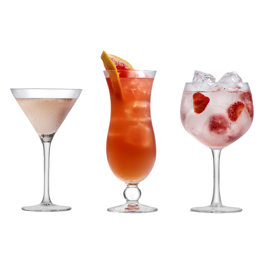 royal-leerdam-cocktail-set-neutraal-12-piece_